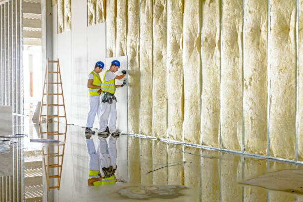 Best Cellulose Insulation in Maize, KS